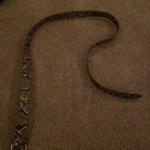 Snake Print Belt